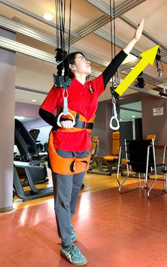 手を挙げて背伸びの訓練